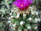 DSCN3252