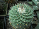 DSCN3258