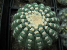 DSCN3262