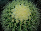 DSCN3263