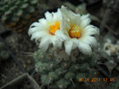 DSCN5470