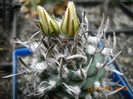 DSCN5438