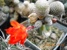DSCN5444