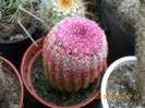 DSCN5448