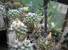 DSCN5455