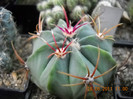 DSCN5456