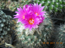 DSCN5473