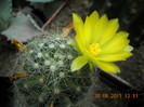 DSCN5484