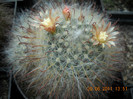 DSCN5486