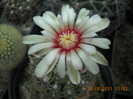 DSCN5488