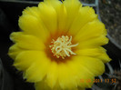 DSCN5489