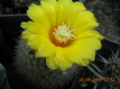DSCN5490