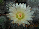 DSCN5491