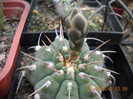 DSCN5502