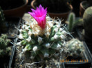 DSCN5526