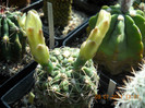DSCN5527