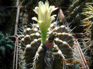 DSCN5531