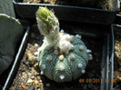 DSCN5534