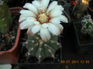 DSCN5538