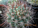 DSCN5540