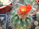 DSCN5546