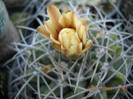 DSCN5548