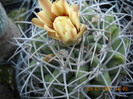 DSCN5549