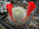 DSCN5555
