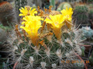 DSCN5558