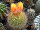 DSCN5560
