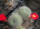 DSCN5561
