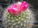 DSCN5562