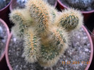 DSCN5571