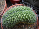 DSCN5572