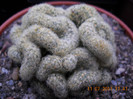 DSCN5575