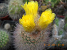 DSCN5580