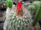 DSCN5581