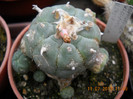 DSCN5584