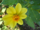 DSCN1980