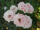 DSCN1982