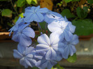 DSCN1986