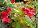 DSCN1990