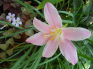 DSCN1997