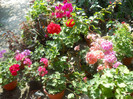 DSCN1999