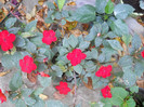 DSCN2002
