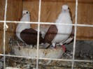 DSCN1123