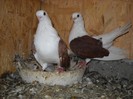 DSCN1159