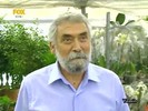 bscap0068i