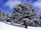 [wallcoo_com]_winter_Travel_winter_013