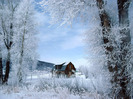 winter_wonderland_steamboat_springs_colorado